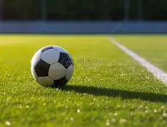 电白,沉香杯,篮球赛完美,B体育平台,B体育官方网站,B体育登录入口,B体育app下载