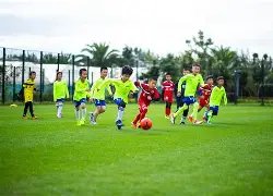 一年未露面,传奇伍声,去向成谜,B体育平台,B体育官方网站,B体育登录入口,B体育app下载