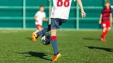 B体育 产品 125646 o4e