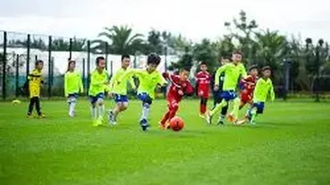 B体育 产品 130713 2t3