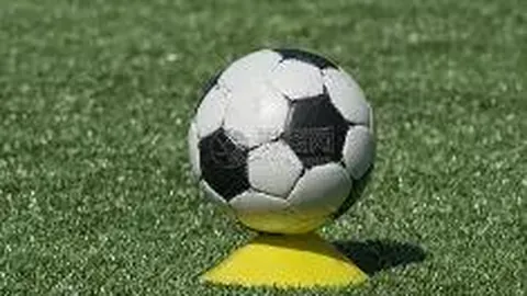 B体育 资讯 130720 fz7