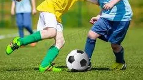 B体育 资讯 131728 nlx