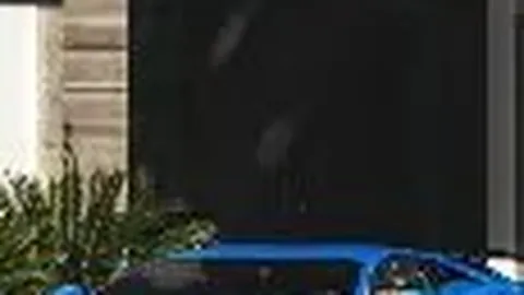 谁将接棒拉布布？